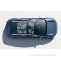 New Car Electric Blue Zeeker 007